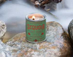 woodsy candle, hostess gift, housewarming gift, woodsy scented candle